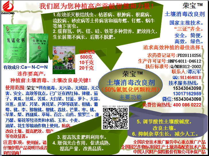 榮寶（氰氨化鈣）顆粒殺菌劑，土壤消毒、緩釋氮鈣營(yíng)養(yǎng)、肥料增效、土壤改良四效合一，殺滅根結(jié)線(xiàn)蟲(chóng)，防治根腫病、根腐病、枯萎病、流膠病、蓮藕腐敗病等土傳病害，殺滅福壽螺、釘螺等地下害蟲(chóng)，解決連作障礙